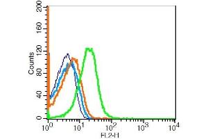 Mouse thymus cells probed with FPRL1 Polyclonal Antibody, Unconjugated  ) at 1:20 for 30 minutes followed by incubation with a conjugated secondary -PE) (green) for 30 minutes compared to control cells (blue), secondary only (light blue) and isotype control (orange). (FPR2 anticorps  (AA 51-150))
