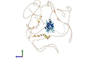 AlphaFold protein structure predicition of Human Recombinant RBM14 Protein, UniprotID Q96PK6