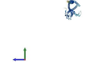 AlphaFold protein structure predicition of Mouse Recombinant Nuf2 Protein, UniprotID Q99P69