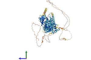 AlphaFold protein structure predicition of Human Recombinant SCYL2 Protein, UniprotID Q6P3W7