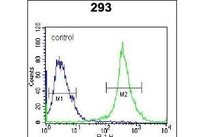 IL-27 Antibody (Center) (ABIN388443 and ABIN2848726) flow cytometric analysis of 293 cells (right histogram) compared to a negative control cell (left histogram). (IL-27 anticorps  (AA 57-87))