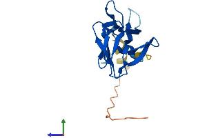 AlphaFold protein structure predicition of Human Recombinant ASAH2B Protein, UniprotID P0C7U1