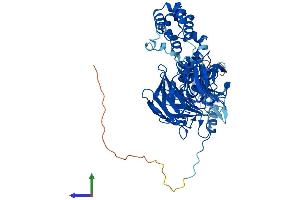 AlphaFold protein structure predicition of Mouse Recombinant Klhl20 Protein, UniprotID Q8VCK5