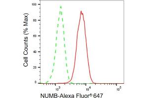 Flow cytometric analysis of NUMB expression in HepG2 cells using NUMB antibody (ABIN7799693), 1:2,000). (Recombinant NUMB anticorps)