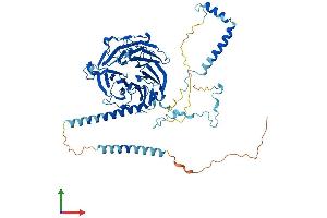 AlphaFold protein structure predicition of Human Recombinant DNAI2 Protein, UniprotID Q9GZS0