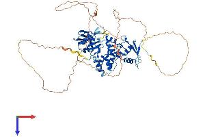 AlphaFold protein structure predicition of Human Recombinant PIAS2 Protein, UniprotID O75928