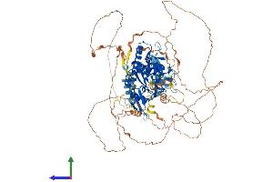 AlphaFold protein structure predicition of Human Recombinant CTDP1 Protein, UniprotID Q9Y5B0