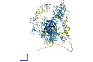 AlphaFold protein structure predicition of Human Recombinant CORIN Protein, UniprotID Q9Y5Q5