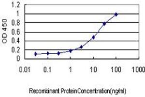 Detection limit for recombinant GST tagged DAZ1 is approximately 0. (DAZ1 anticorps  (AA 21-120))