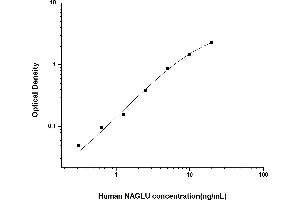 Typical standard curve (N-Acetyl alpha-D-Glucosaminidase Kit ELISA)