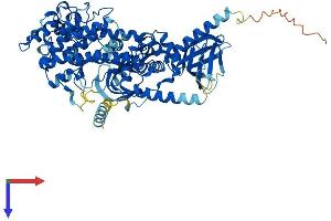 AlphaFold protein structure predicition of Human Recombinant GRK2 Protein, UniprotID P25098