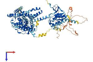 AlphaFold protein structure predicition of Mouse Recombinant Slc26a9 Protein, UniprotID Q8BU91