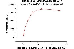 Immobilized A Antibody, Human IgG1 at 2 μg/mL (100 μL/well) can bind Fed Human DLL3, His Tag (ABIN6992359) with a linear range of 0.