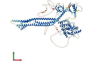 AlphaFold protein structure predicition of Mouse Recombinant Asap2 Protein, UniprotID Q7SIG6