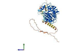 AlphaFold protein structure predicition of Human Recombinant CAMK1D Protein, UniprotID Q8IU85