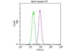 Overlay histogram showing Hela cells stained with ABIN7161178 (red line).