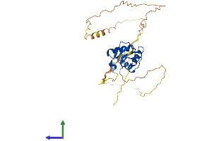 AlphaFold protein structure predicition of Mouse Recombinant Spi1 Protein, UniprotID P17433