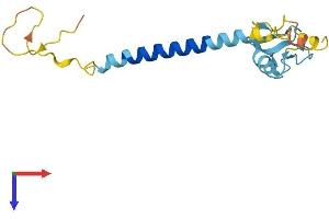 AlphaFold protein structure predicition of Human Recombinant RNF122 Protein, UniprotID Q9H9V4