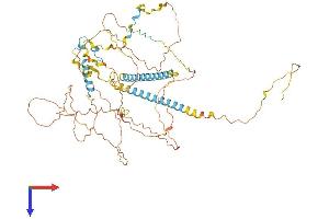 AlphaFold protein structure predicition of Human Recombinant FIP1L1 Protein, UniprotID Q6UN15