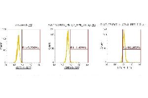 Flow Cytometry (FACS) image for anti-Complexin 1 (CPLX1) (AA 1-134) antibody (PE) (ABIN5565320)