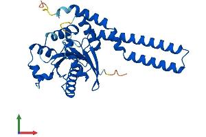 AlphaFold protein structure predicition of Human Recombinant GIMAP7 Protein, UniprotID Q8NHV1