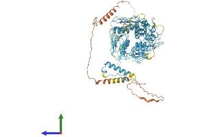 AlphaFold protein structure predicition of Human Recombinant ZNF616 Protein, UniprotID Q08AN1