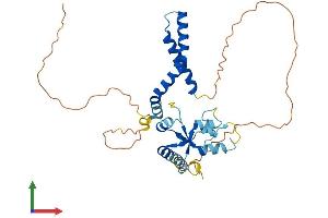 AlphaFold protein structure predicition of Mouse Recombinant Dnttip1 Protein, UniprotID Q99LB0