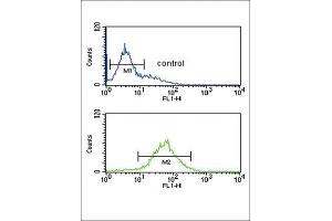 Flow Cytometry (FACS) image for anti-Steroid 5 alpha-Reductase 3 (SRD5A3) antibody (ABIN3002292) (SRD5A3 anticorps)