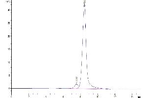 The purity of Human GITR Ligand (Trimer) is greater than 95 % as determined by SEC-HPLC.