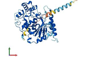 AlphaFold protein structure predicition of Mouse Recombinant B3gnt8 Protein, UniprotID Q8R3I9