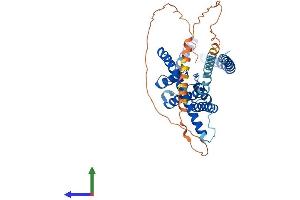 AlphaFold protein structure predicition of Mouse Recombinant Kcnk3 Protein, UniprotID O35111