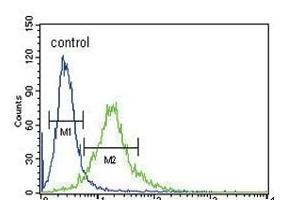 Ku70 Antibody (Center) (ABIN652244 and ABIN2841008) flow cytometric analysis of 293 cells (right histogram) compared to a negative control cell (left histogram).