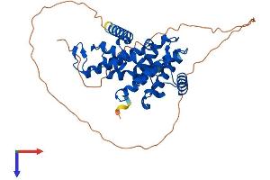 AlphaFold protein structure predicition of Mouse Recombinant Ccnj Protein, UniprotID Q3TZI6