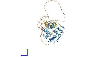 AlphaFold protein structure predicition of Human Recombinant ZNF461 Protein, UniprotID Q8TAF7
