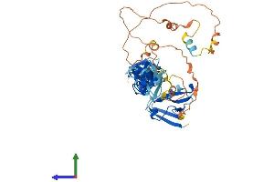 AlphaFold protein structure predicition of Mouse Recombinant Pdlim7 Protein, UniprotID Q3TJD7