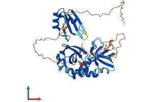 AlphaFold protein structure predicition of Human Recombinant TDRD10 Protein, UniprotID Q5VZ19