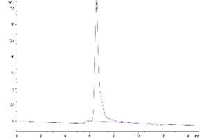 The purity of Mouse TNFSF15 is greater than 95 % as determined by SEC-HPLC.