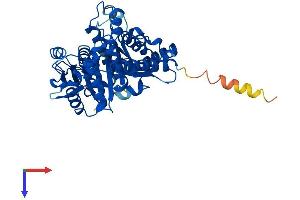 AlphaFold protein structure predicition of Mouse Recombinant Tubb1 Protein, UniprotID A2AQ07