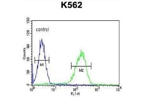 APOL6 Antibody (Center) flow cytometric analysis of K562 cells (right histogram) compared to a negative control cell (left histogram).