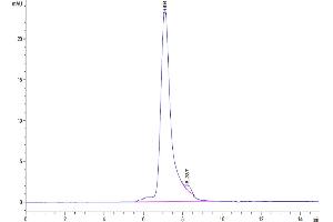 The purity of Biotinylated Human Siglec-5 is greater than 95 % as determined by SEC-HPLC.
