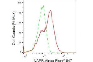 Flow cytometric analysis of NAPB expression in H9c2 cells using NAPB antibody (ABIN7799532), 1:2,000).