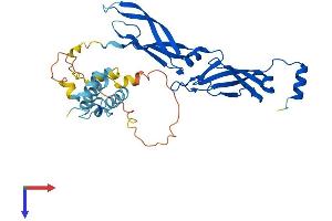 AlphaFold protein structure predicition of Mouse Recombinant Dnajb5 Protein, UniprotID O89114