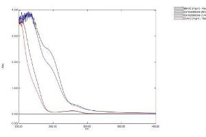 Image no. 1 for Corticosterone (CORT) protein (Ovalbumin) (ABIN1880306) (Corticosterone Protein (CORT) (Ovalbumin))
