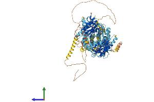 AlphaFold protein structure predicition of Human Recombinant ADCY8 Protein, UniprotID P40145