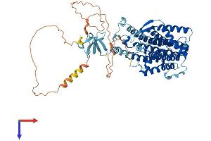AlphaFold protein structure predicition of Mouse Recombinant Lbr Protein, UniprotID Q3U9G9