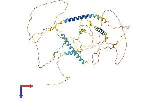 AlphaFold protein structure predicition of Human Recombinant LAD1 Protein, UniprotID O00515