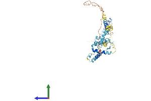 AlphaFold protein structure predicition of Mouse Recombinant Snrnp48 Protein, UniprotID Q9D361