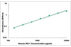 Representative Standard Curve (HMOX1 Kit ELISA)