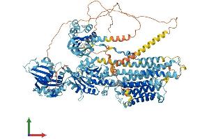 AlphaFold protein structure predicition of Human Recombinant ATP2B3 Protein, UniprotID Q16720