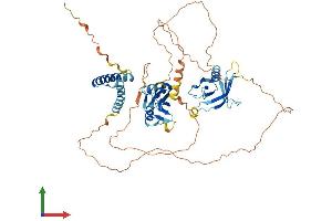 AlphaFold protein structure predicition of Mouse Recombinant Sh2b3 Protein, UniprotID O09039